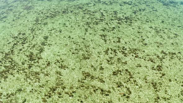 Top View of a Clean Ocean Water Near a Coast alt