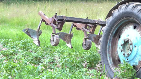 Agricultural Work on a Tractor Mechanized Potato Processing Potato Plowing