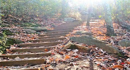 The Corporate Collection