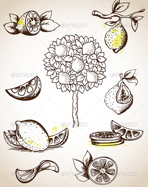 Vintage Lemons - Food Objects