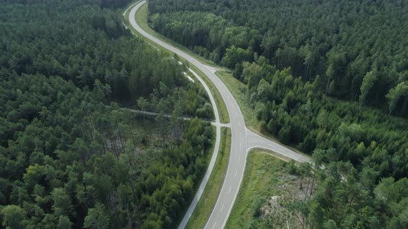 Flight over road through coniferous forest alt