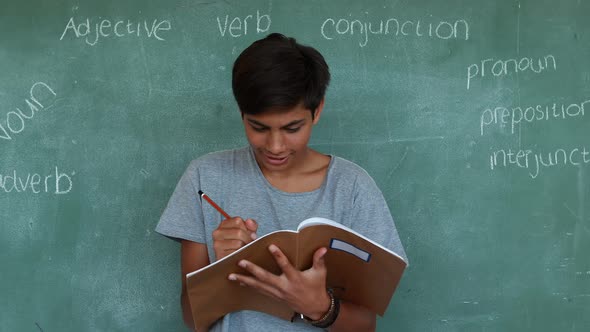 Portrait of schoolboy writing in notebook against green chalkboard alt