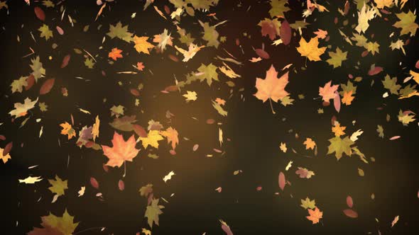 Autumn Leaves Falling on Defocused Background