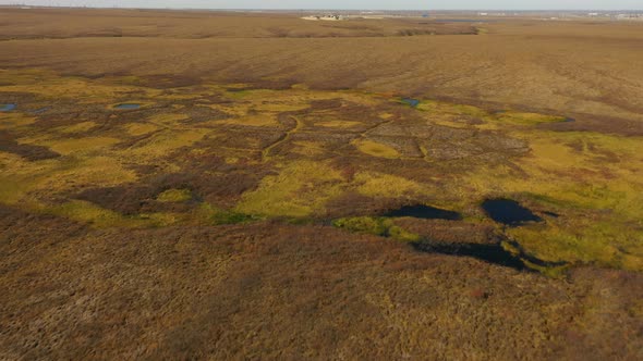 Tundra in Autumn