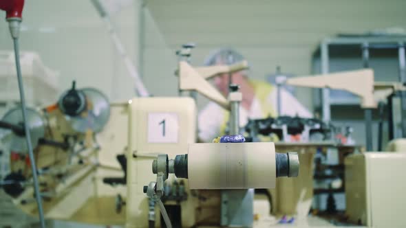 Wrapped Candies Lying on Conveyor alt
