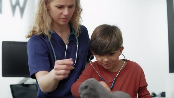 Female doctor showing how to examine cat. Shot with RED helium camera in 4K. alt