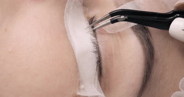 Professional Eyelash Extension Procedure in Close Up alt