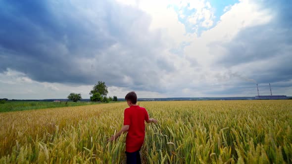 Happy boy in agriculture field alt