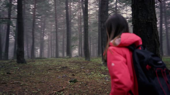 Hiking In Forest alt