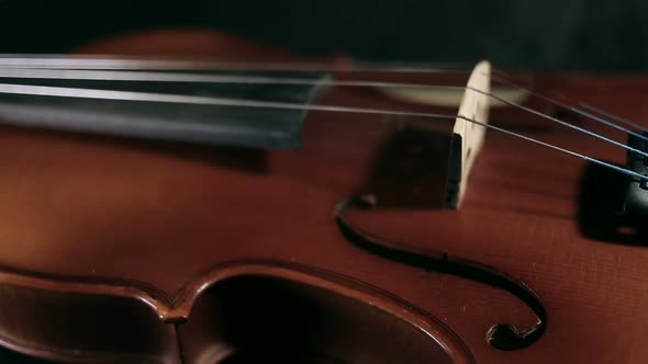 Part of Aged Violin on Black Background