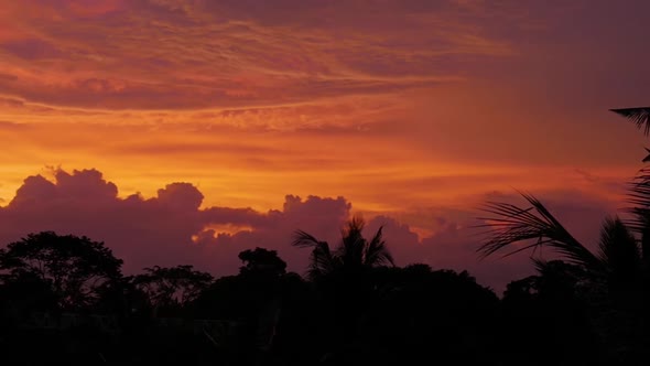 Sunset View Over the Rainforest Trees in Bali alt