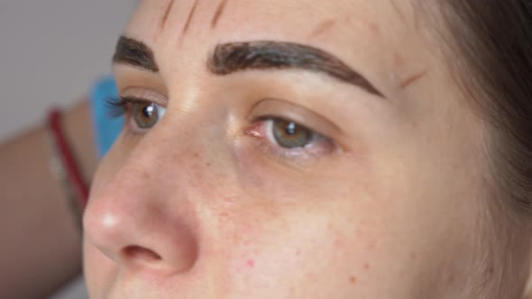 Female Eyebrows and Eyes Closeup Eyebrow Paint is Applied with a Brush for Eyebrows alt
