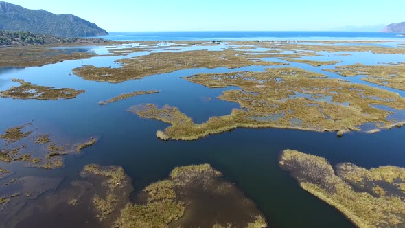 Aerial Swamp Wetland and Lake Next to Reed Delta by Sea alt