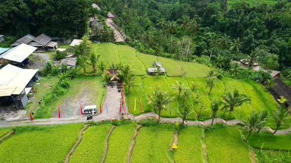 aerial top down of tourist attraction in ubud bali indonesia with beautiful rice fields alt