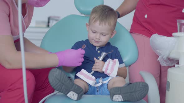 Adorable Little Boy in the Dentist Office Playing with the Jaw Mock. Carefree Child Visiting Doctor alt