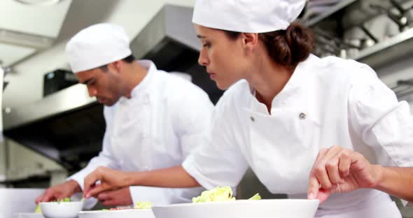 Chefs garnishing food dish alt