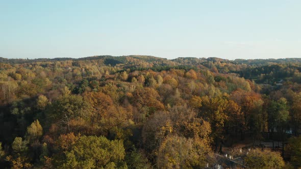 AERIAL: Autumn Season with Forest on a Hill and Clear Blue Sky in Background