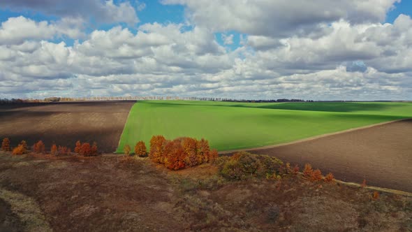 Aerial Photography Field Agro Farming Virgin Land