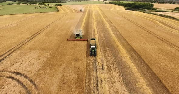 Aerial View of Combine Harvester