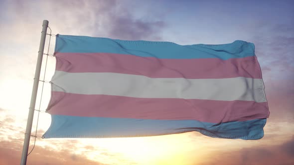 Transgender Pride Flag Waving in the Wind Sky and Sun Background alt