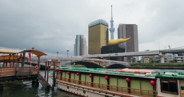 Tokyo city with skytree alt
