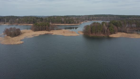 AERIAL: Isolated Little Islands in the Lake with Reeds Waving in the Wind and Forest in Background