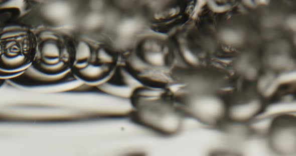 Bubbles Rising To The Surface Of Water alt