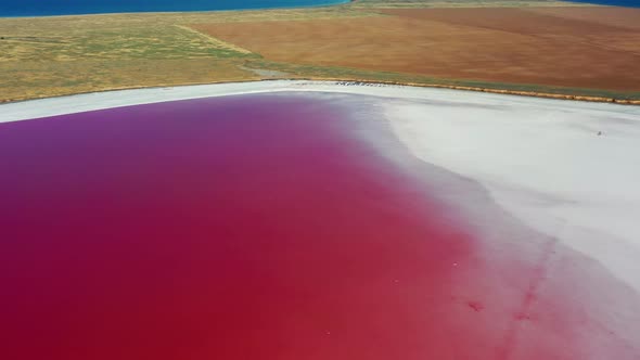 Beautiful top view of the salty, pink lake. Beautiful pink sunrise. alt