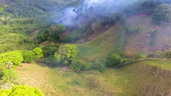 Aerial view of a group of people, walking towards raging bushfires, in the tropical forests of Austr alt