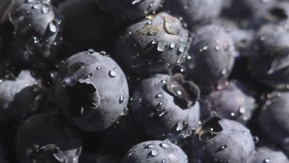 Close Up Blueberry with Water Drops Rotating Background. Lot of Ripe Blueberries Close Up. Organic alt