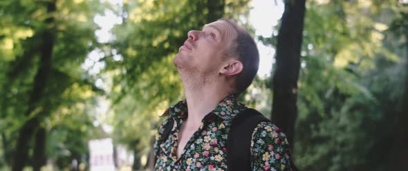 Man looks up at treetops alt