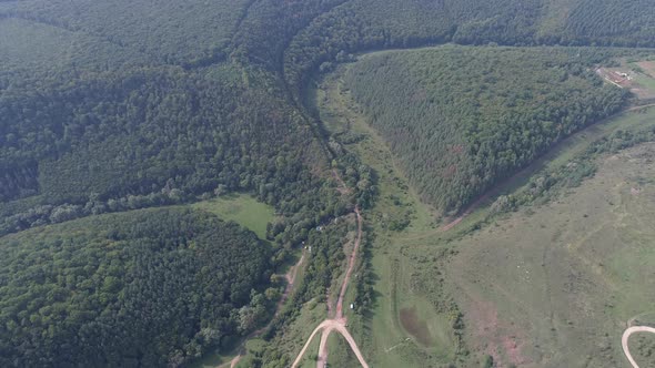Aerial view of forest roads alt