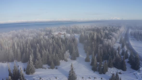 Arctic Foggy Horizon