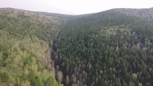 Early spring in the forest aerial view
