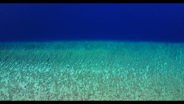 Aerial scenery of tropical coastline beach wildlife by blue ocean with white sand background of a pi alt