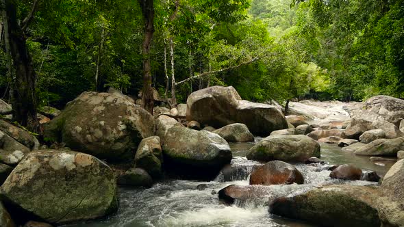 Mountain River Flowing in Rainforest. Endless Meditative Video, Stream in Tropical Exotic Jungle alt