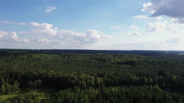 Camera Flies Over the Forest