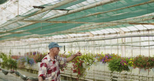 Researcher Examining Potted Plant At Greenhouse alt
