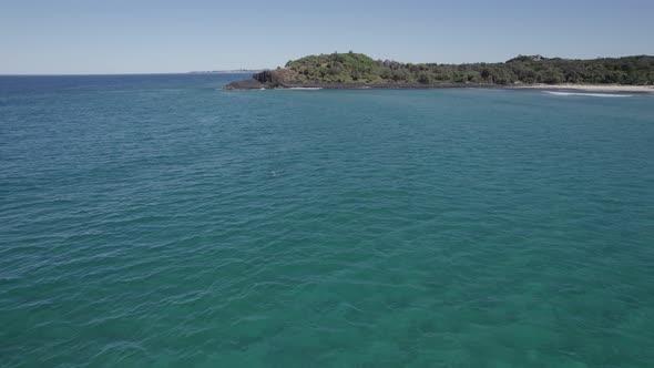 Pod Of Bottlenose Dolphins Swimming In The Tasman Sea With Stunning View Of Fingal Head Beach And Ca alt