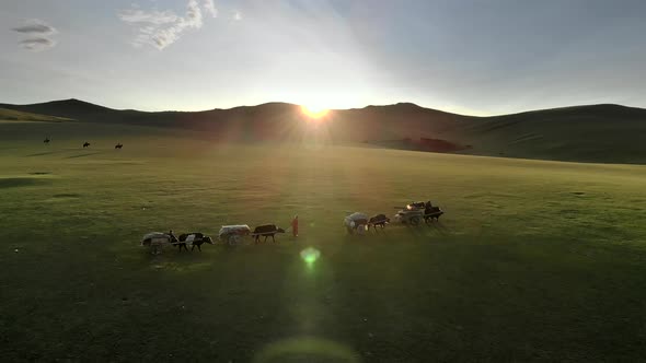 Central Asian Family People Walking Immigrating With Traditional Old Oxcart Tumbrel And Tumbril Cart alt