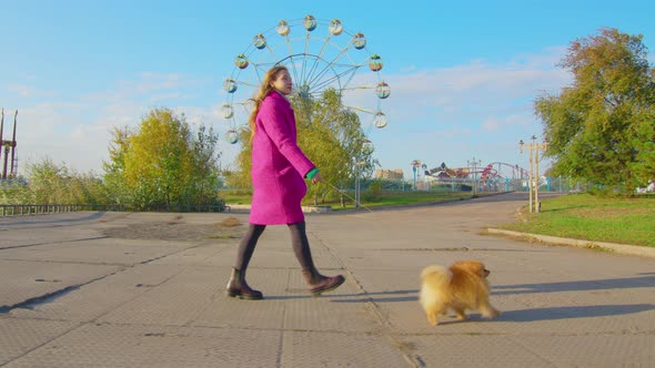 Adorable Young Girl Walking with Her Cute Dog in Warm Sunny Day Slowmotion alt