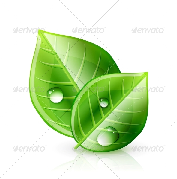 Green Leaf Ecology Concept - Flowers & Plants Nature