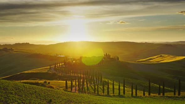 Tuscany Landscape Road Cypresses Hill Sunset alt