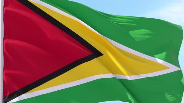 Guyana Flag Looping Background