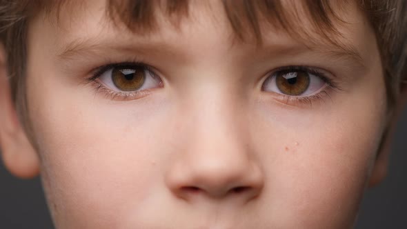 Highly Detailed Portrait of Caucasian Boy. Beautiful Child Looking at the Camera. Close-Up Boy's alt