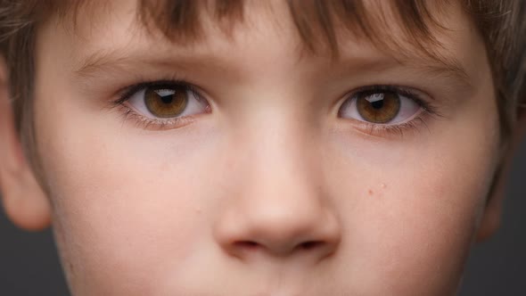 Highly Detailed Portrait of Caucasian Boy. Beautiful Child Looking at the Camera. Close-Up Boy's