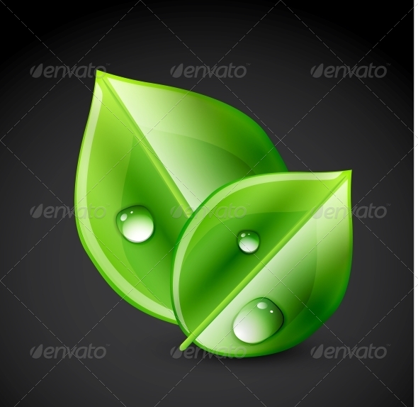 Green Leaf Ecology Concept - Flowers & Plants Nature