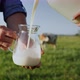 In a Glass Jug Poured Milk Against the Background of Pasture Where Cows Graze - VideoHive Item for Sale