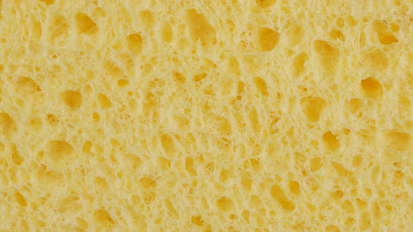Yellow sponge detail texture