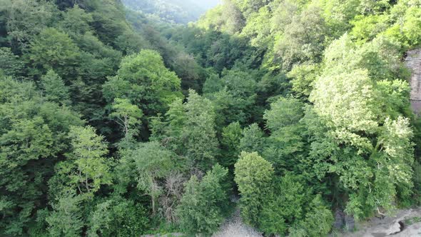 Aerial View of Mountain Gorge Hills Covered By Green Forest. Drone Camera Pan and Flies Over alt